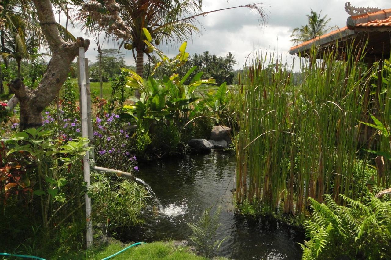 Bali Sawah Indah Hotel Ubud  Luaran gambar