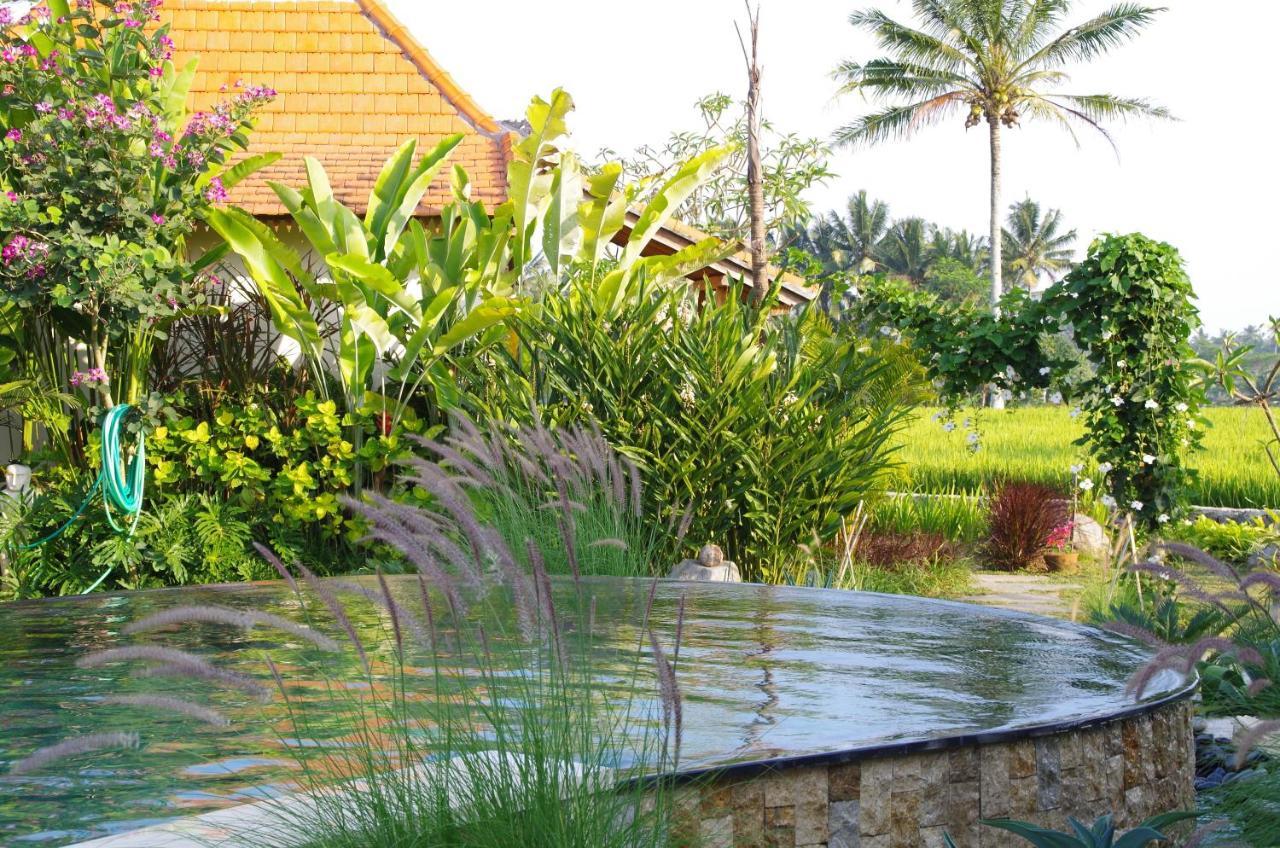 Bali Sawah Indah Hotel Ubud  Luaran gambar